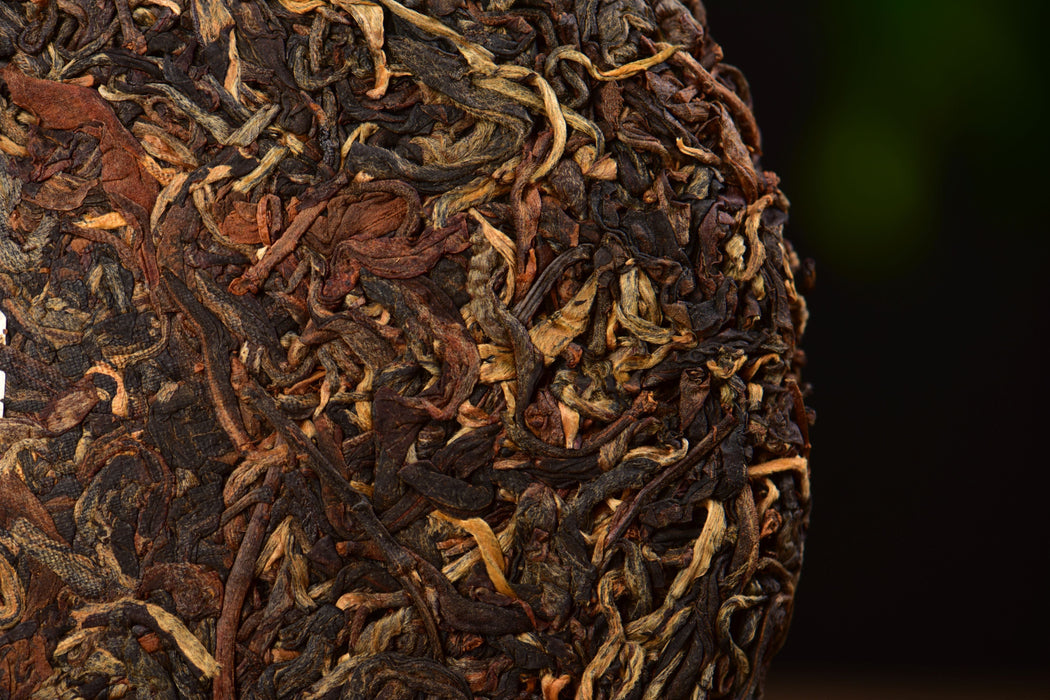 2025 Yunnan Sourcing "Ku Zhu Shan Hong" Black Tea Cake | Yunnan Sourcing Tea Shop