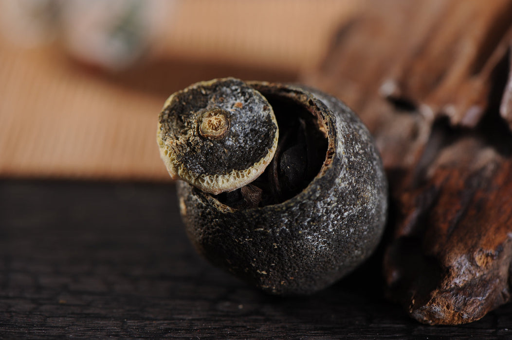 Fuding Shou Mei White Tea in King Orange | Yunnan Sourcing Tea Shop