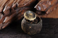 Fuding Shou Mei White Tea in King Orange | Yunnan Sourcing Tea Shop