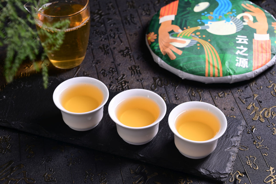 2025 Yunnan Sourcing "Meng Zhu Da Shan" Old Arbor Raw Pu-erh Tea Cake | Yunnan Sourcing Tea Shop