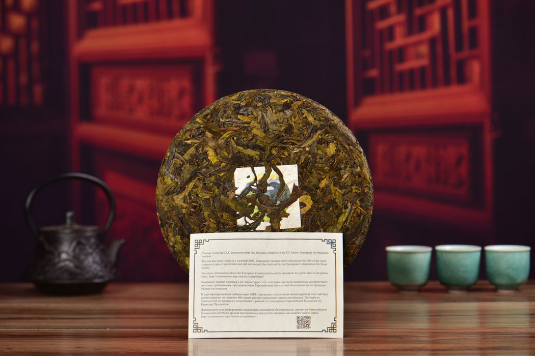 2025 Yunnan Sourcing "Spring Morning" Raw Pu-erh Tea Cake | Yunnan Sourcing Tea Shop