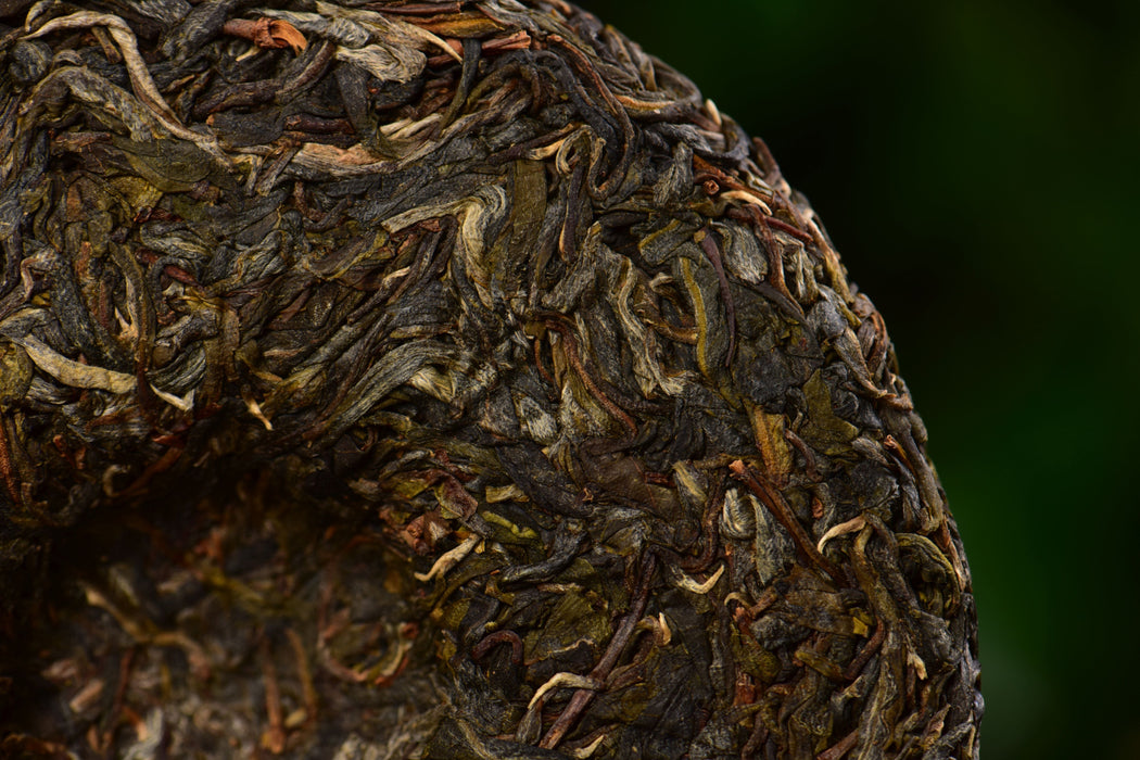 2025 Yunnan Sourcing "Forest Tea" Raw Pu-erh Tea Cake | Yunnan Sourcing Tea Shop