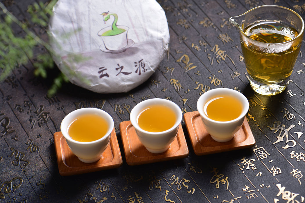 2025 Yunnan Sourcing "Ku Zhu Shan" Raw Pu-erh Tea Cake | Yunnan Sourcing Tea Shop