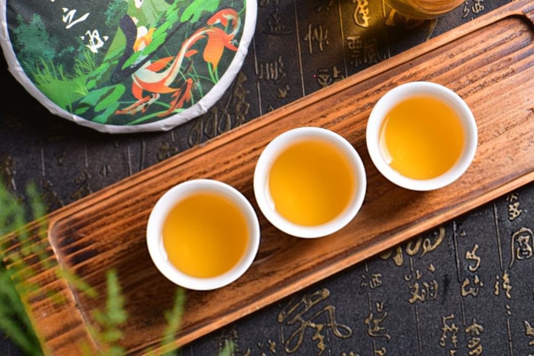 2025 Yunnan Sourcing "Jiu Tai Po" Old Arbor Raw Pu-erh Tea Cake | Yunnan Sourcing Tea Shop