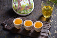 2025 Yunnan Sourcing "San Ke Shu" Old Arbor Raw Pu-erh Tea Cake | Yunnan Sourcing Tea Shop