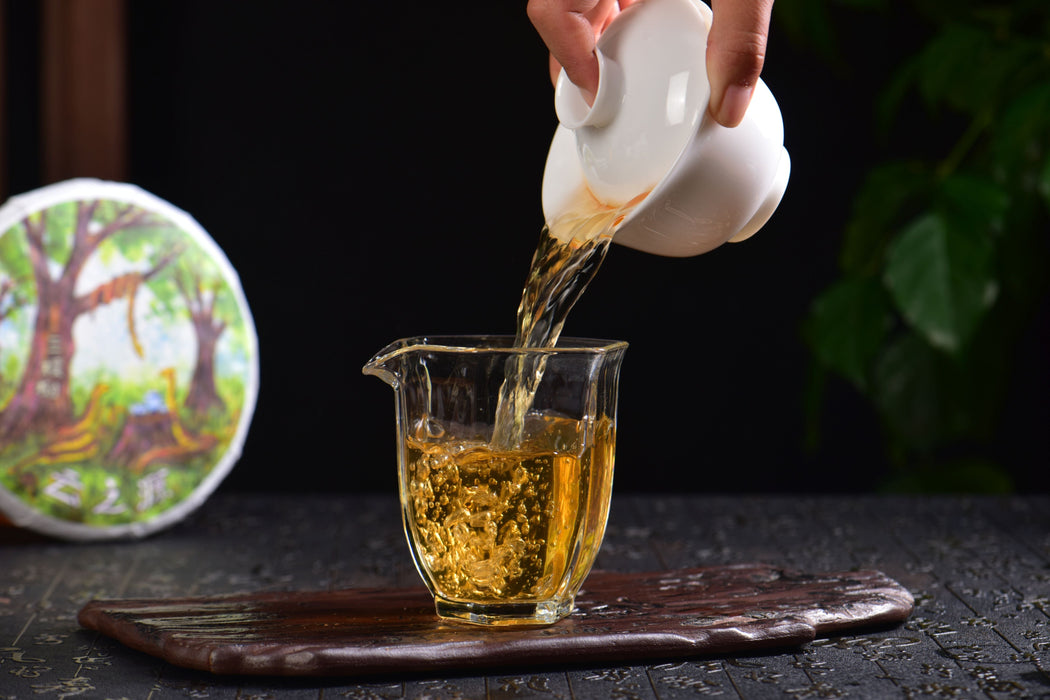 2025 Yunnan Sourcing "San Ke Shu" Old Arbor Raw Pu-erh Tea Cake | Yunnan Sourcing Tea Shop