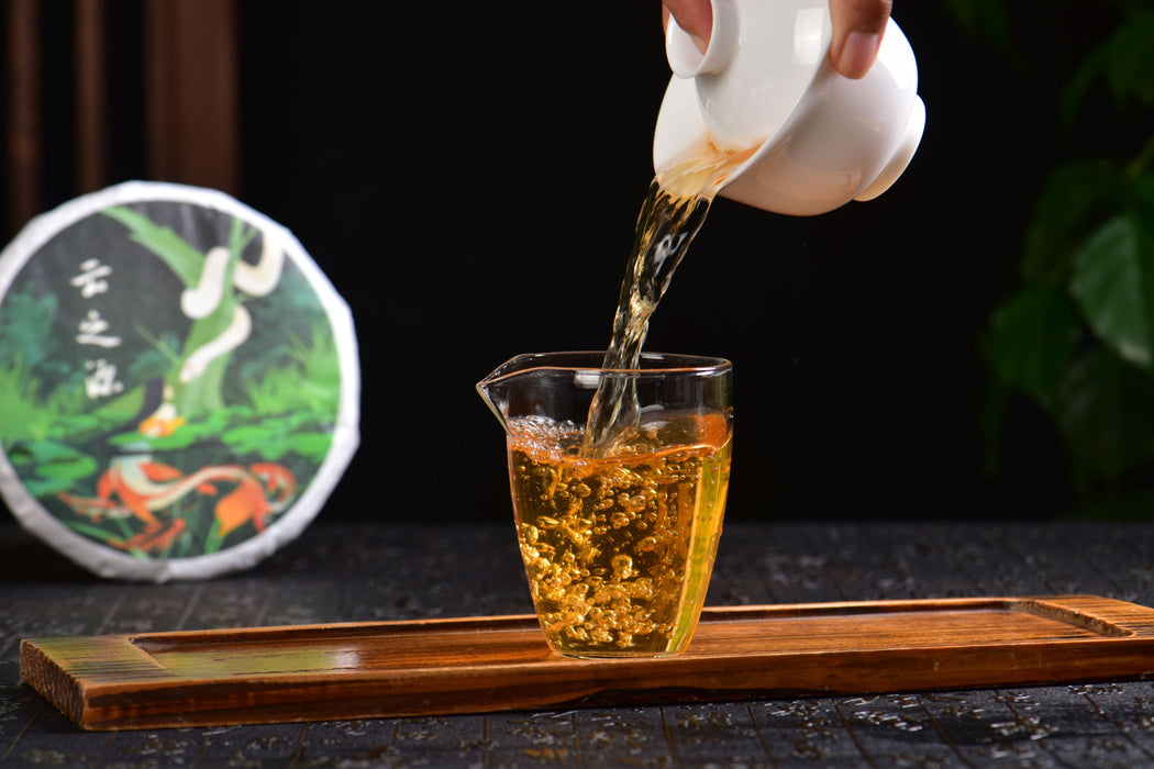 2025 Yunnan Sourcing "Jiu Tai Po" Old Arbor Raw Pu-erh Tea Cake | Yunnan Sourcing Tea Shop