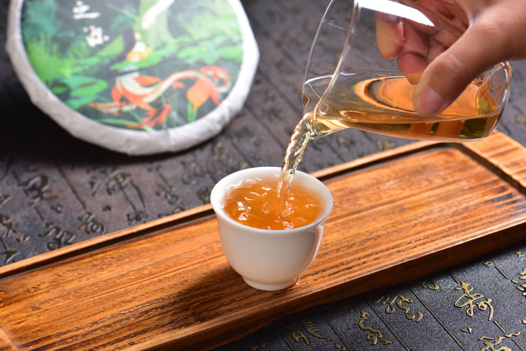 2025 Yunnan Sourcing "Jiu Tai Po" Old Arbor Raw Pu-erh Tea Cake | Yunnan Sourcing Tea Shop