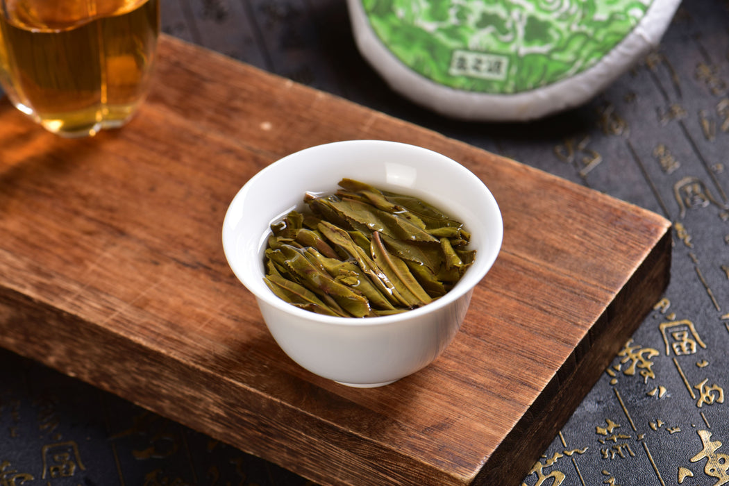 2024 Yunnan Sourcing "Ai Lao Secret Garden" Old Arbor Raw Pu-erh Tea Cake | Yunnan Sourcing Tea Shop