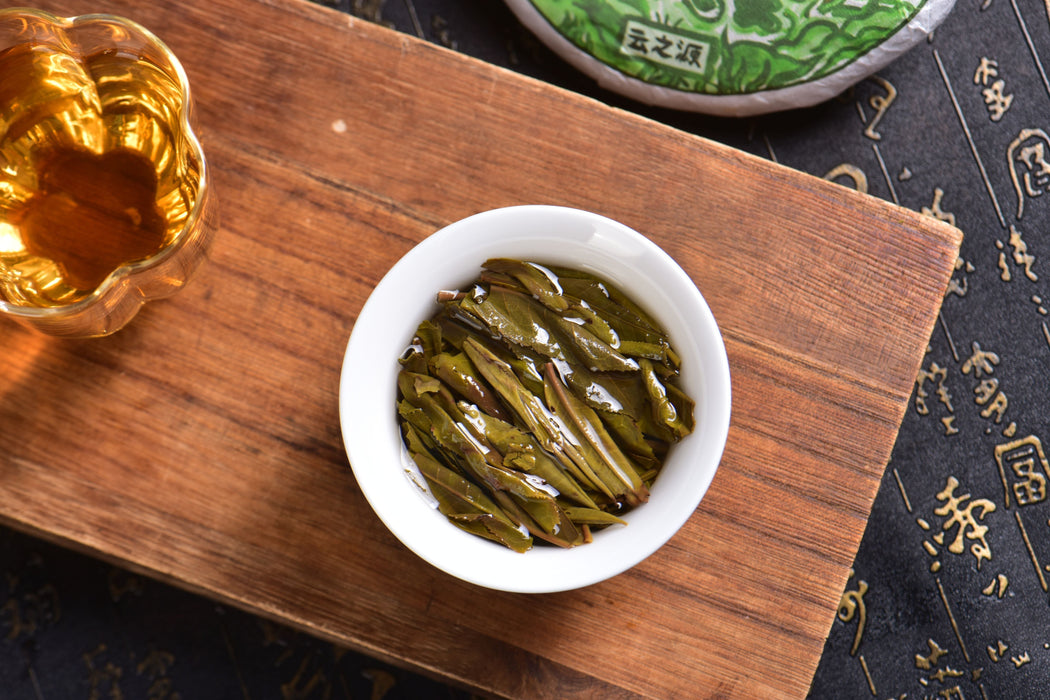 2024 Yunnan Sourcing "Ai Lao Secret Garden" Old Arbor Raw Pu-erh Tea Cake | Yunnan Sourcing Tea Shop