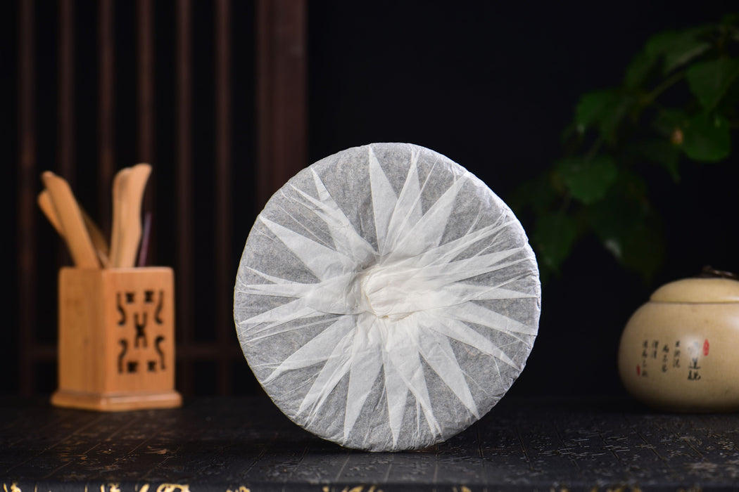 2025 Yunnan Sourcing "Autumn Jiu Tai Po" Old Arbor Raw Pu-erh Tea Cake | Yunnan Sourcing Tea Shop