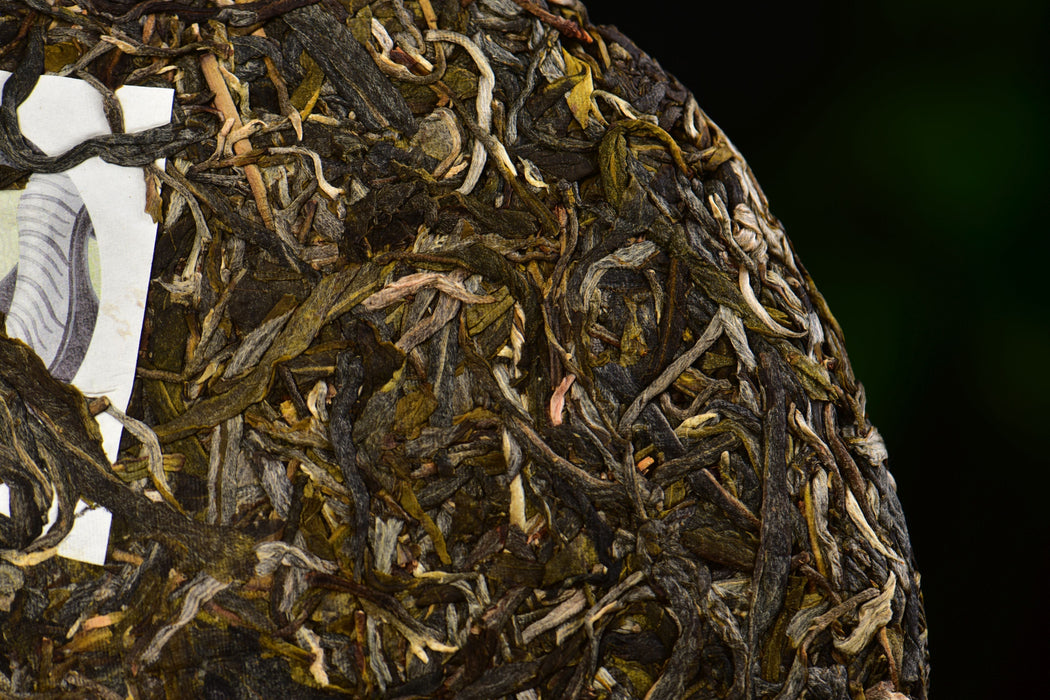 2025 Yunnan Sourcing "Autumn Jiu Tai Po" Old Arbor Raw Pu-erh Tea Cake | Yunnan Sourcing Tea Shop