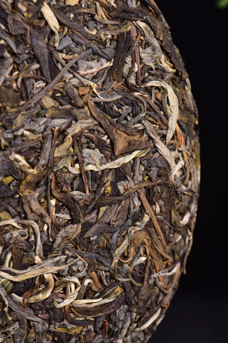 2023 Yunnan Sourcing "Autumn Suan Zao Shu" Old Arbor Raw Pu-erh Tea Cake