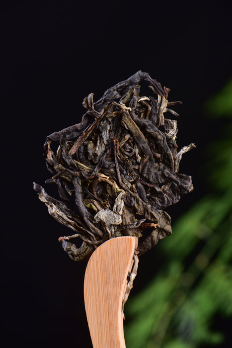 2023 Yunnan Sourcing "Autumn Suan Zao Shu" Old Arbor Raw Pu-erh Tea Cake