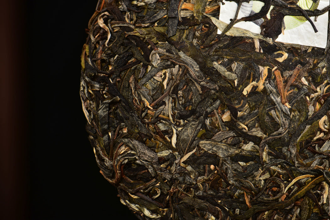 2025 Yunnan Sourcing "Autumn Huang Shan Gu Shu" Old Arbor Raw Pu-erh Tea Cake | Yunnan Sourcing Tea Shop