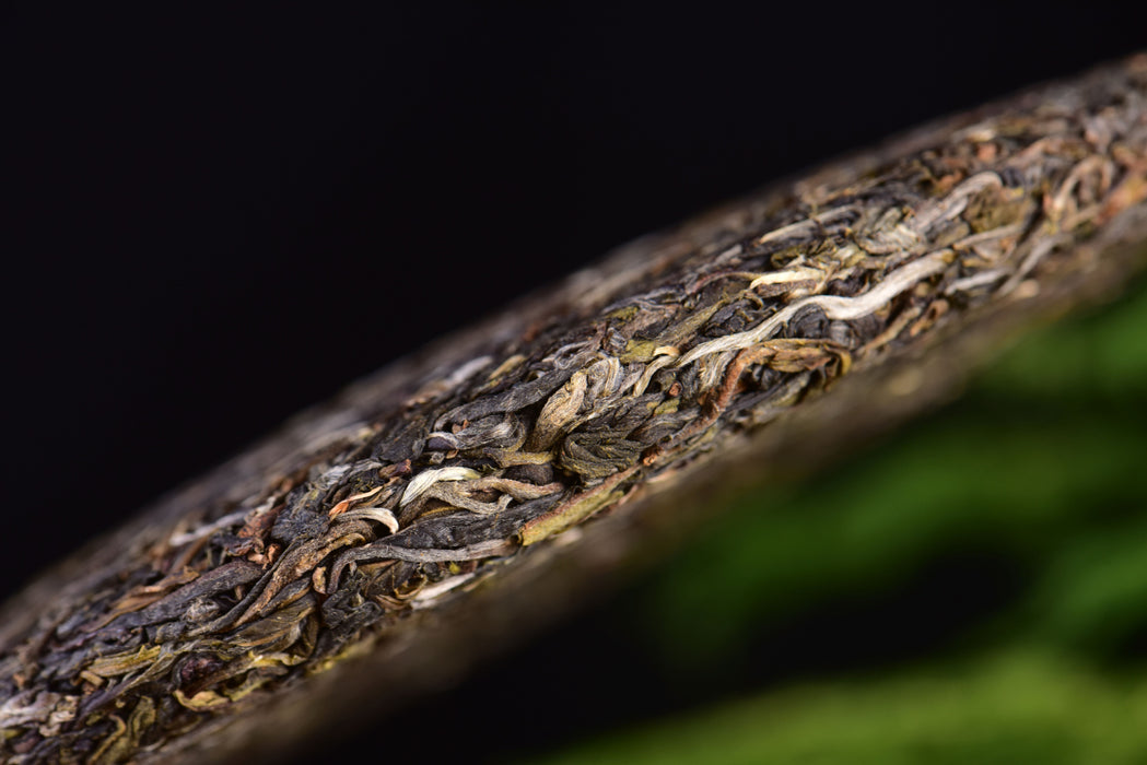 2023 Yunnan Sourcing "Autumn Xiao Shui Jing" Raw Pu-erh Tea Cake