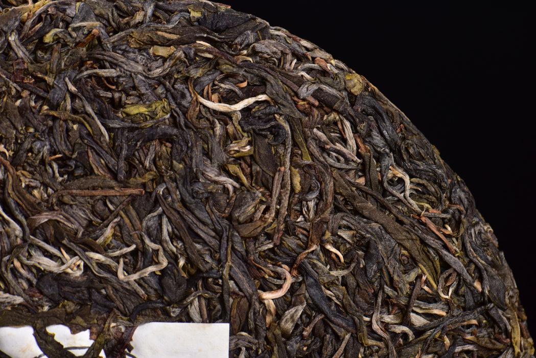 2023 Yunnan Sourcing "Autumn Meng Zhu Da Shan" Old Arbor Raw Pu-erh Tea Cake