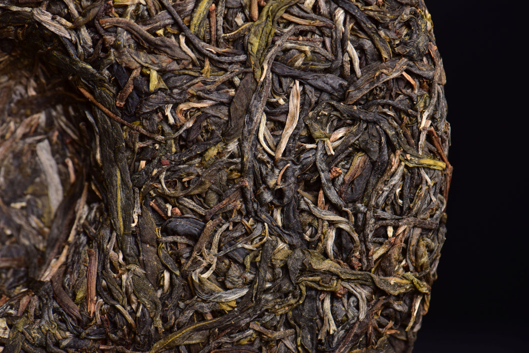 2023 Yunnan Sourcing "Autumn Meng Zhu Da Shan" Old Arbor Raw Pu-erh Tea Cake