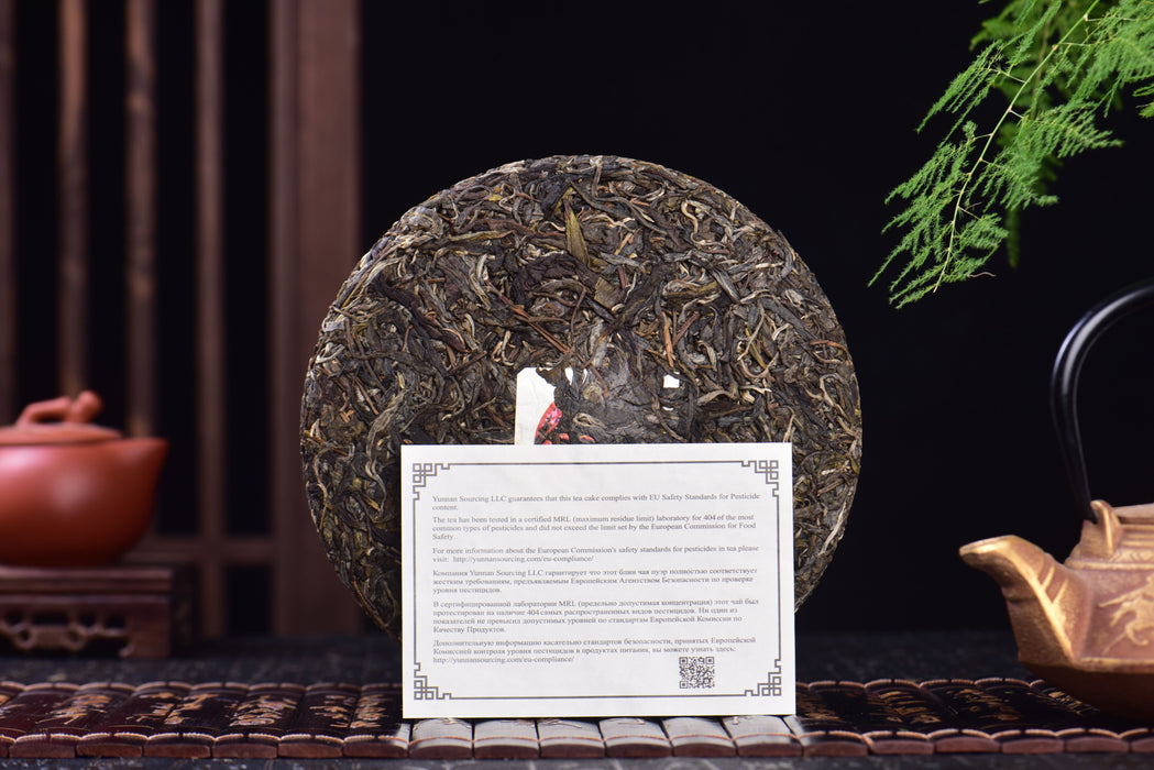 2023 Yunnan Sourcing "Autumn Jiu Tai Po" Old Arbor Raw Pu-erh Tea Cake