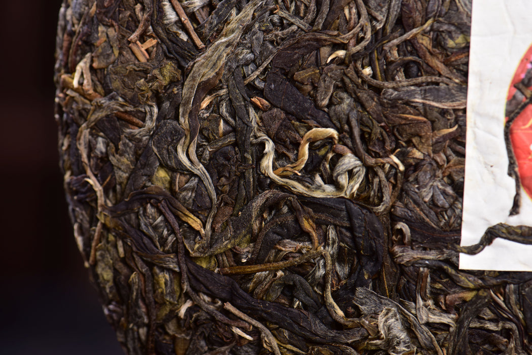 2023 Yunnan Sourcing "Autumn Jiu Tai Po" Old Arbor Raw Pu-erh Tea Cake