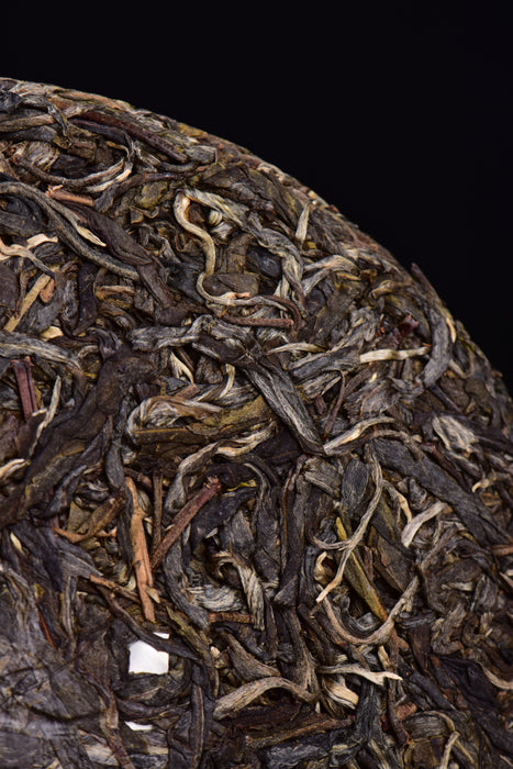 2023 Yunnan Sourcing "Autumn Jiu Tai Po" Old Arbor Raw Pu-erh Tea Cake