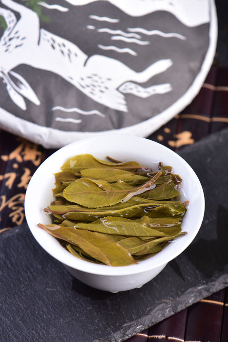 2023 Yunnan Sourcing "Autumn Meng Zhu Da Shan" Old Arbor Raw Pu-erh Tea Cake