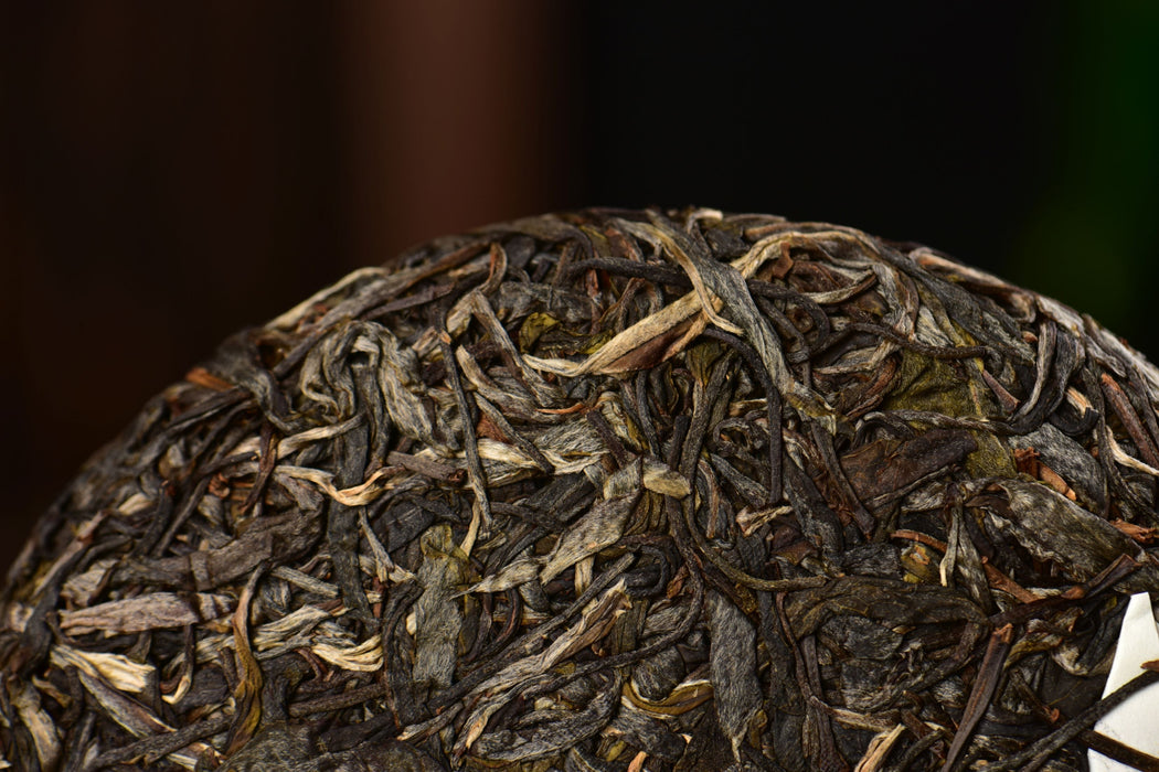 2025 Yunnan Sourcing "Heaven's Door" Wild Arbor Raw Pu-erh Tea Cake | Yunnan Sourcing Tea Shop