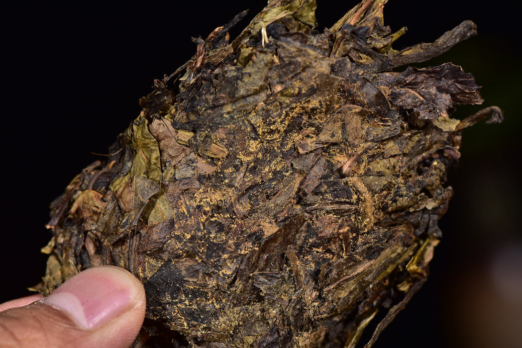 2018 Gao Jia Shan "Da Cang Jia" Wild Harvested Hunan Fu Brick Tea