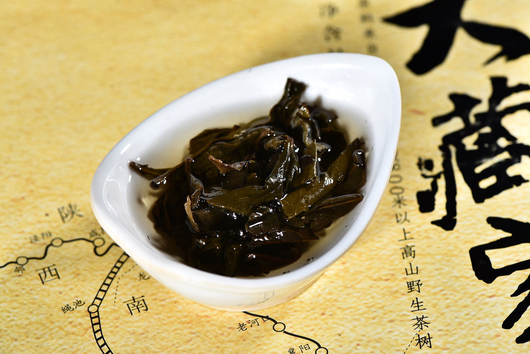 2018 Gao Jia Shan "Da Cang Jia" Wild Harvested Hunan Fu Brick Tea