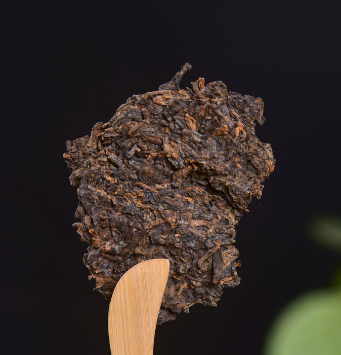 2024 Yunnan Sourcing "Dragon of Jingmai" Ripe Pu-erh Tea Cake