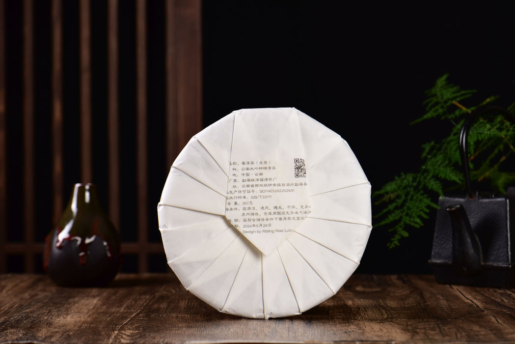 2024 Yunnan Sourcing "Cha Qi" Raw Pu-erh Tea Cake