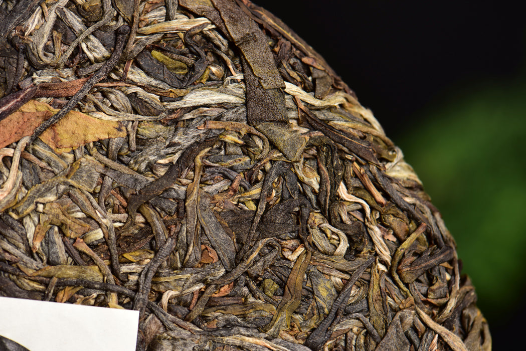 2024 Yunnan Sourcing "Cha Qi" Raw Pu-erh Tea Cake