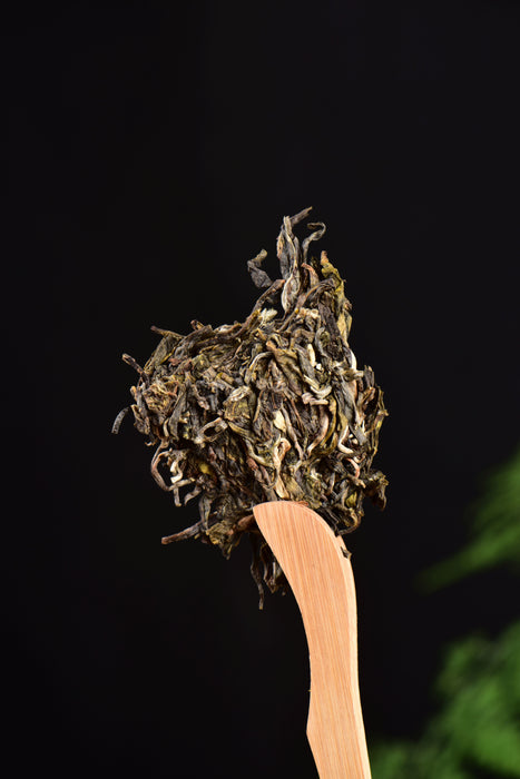 2024 Yunnan Sourcing "Cha Qi" Raw Pu-erh Tea Cake