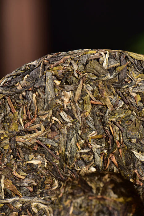 2024 Yunnan Sourcing "Suan Zao Shu" Old Arbor Raw Pu-erh Tea Cake