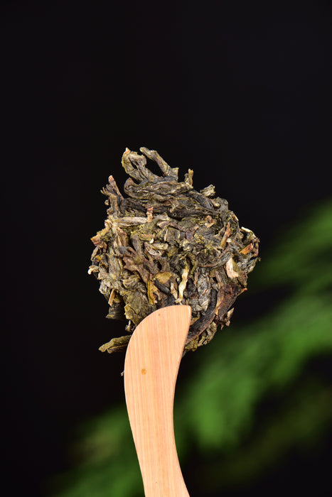 2024 Yunnan Sourcing "Suan Zao Shu" Old Arbor Raw Pu-erh Tea Cake