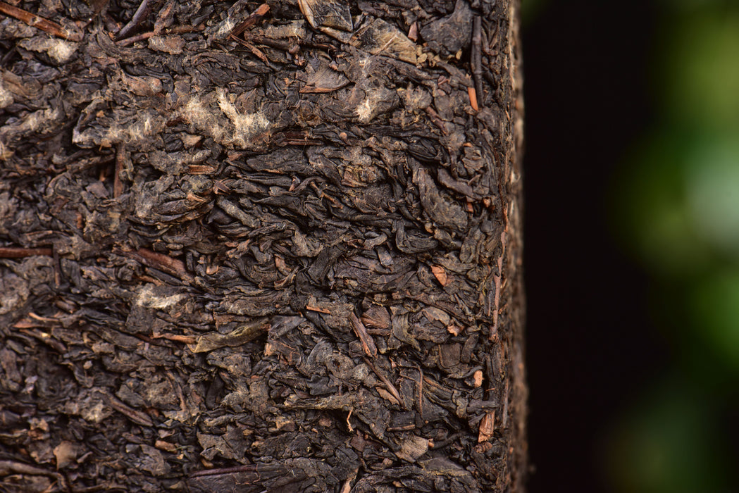 2024 Gao Jia Shan "Year of the Dragon" Fu Brick Tea