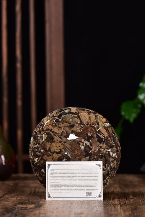 2024 Yunnan Sourcing "Jiu Tai Po Bai Cha" Old Arbor White Tea Cake | Yunnan Sourcing Tea Shop