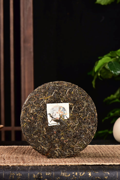 2024 Yunnan Sourcing "Wu Liang Mountain" Wild Arbor Raw Pu-erh Tea Cake