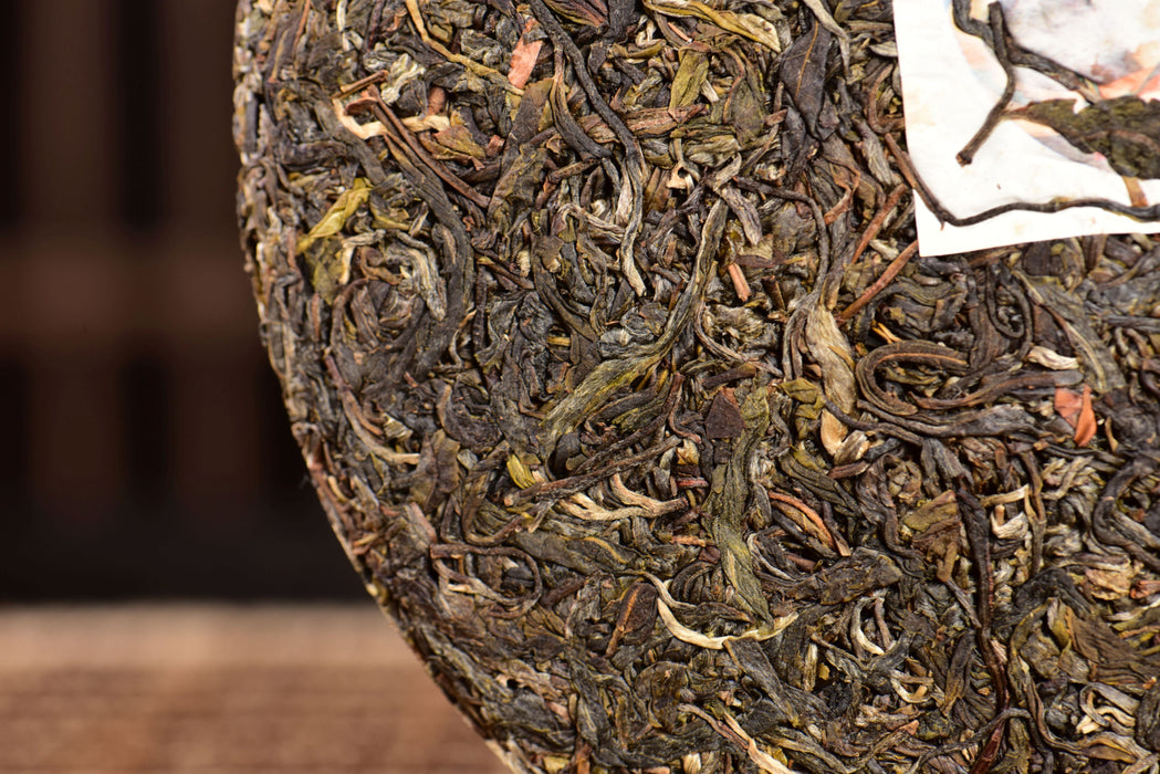 2024 Yunnan Sourcing "Wu Liang Mountain" Wild Arbor Raw Pu-erh Tea Cake