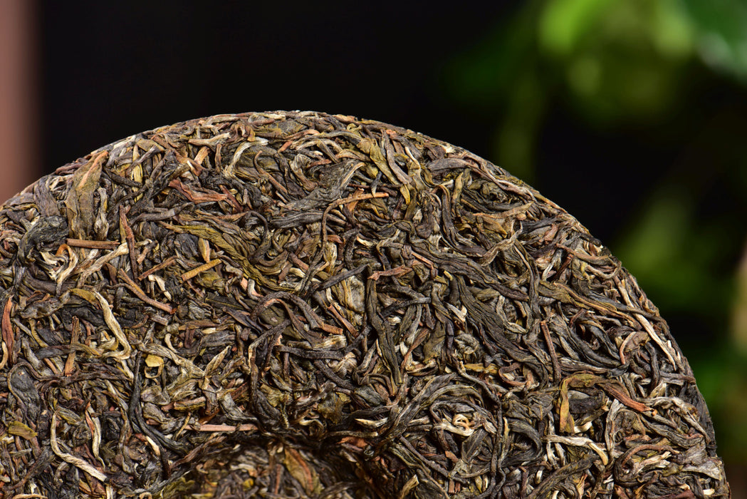 2024 Yunnan Sourcing "Wu Liang Mountain" Wild Arbor Raw Pu-erh Tea Cake