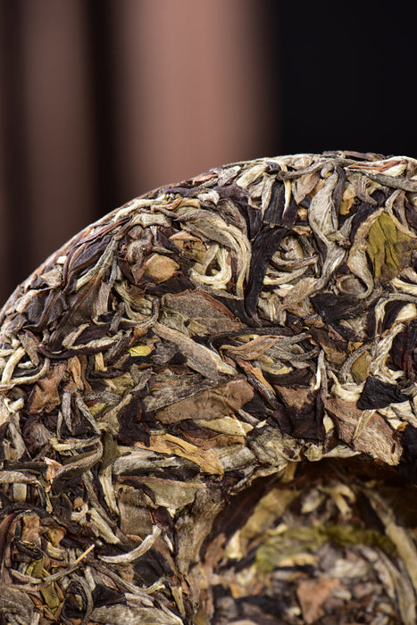 2024 Yunnan Sourcing "Mengku Gu Shu Bai Cha" White Tea Cake