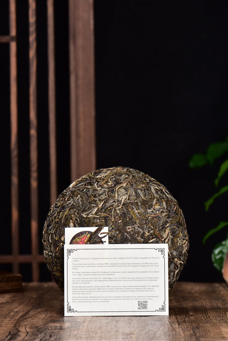 2024 Yunnan Sourcing "Jiu Tai Po" Old Arbor Raw Pu-erh Tea Cake | Yunnan Sourcing Tea Shop