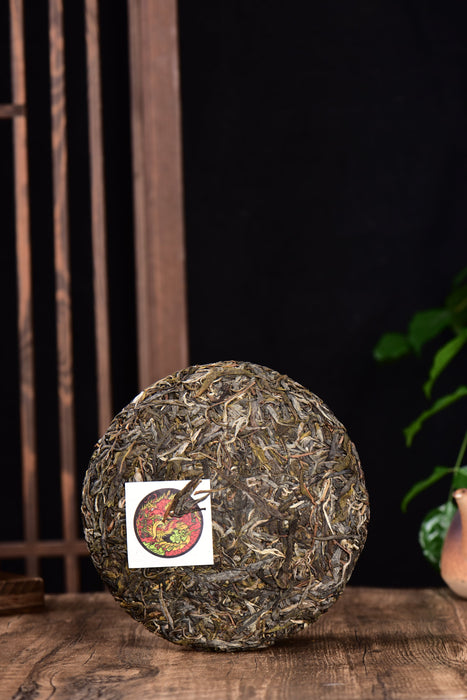 2024 Yunnan Sourcing "Jiu Tai Po" Old Arbor Raw Pu-erh Tea Cake | Yunnan Sourcing Tea Shop