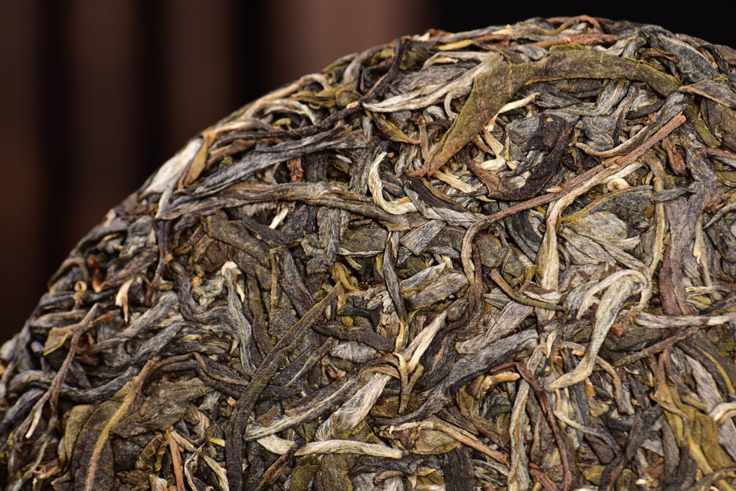 2024 Yunnan Sourcing "Jiu Tai Po" Old Arbor Raw Pu-erh Tea Cake | Yunnan Sourcing Tea Shop