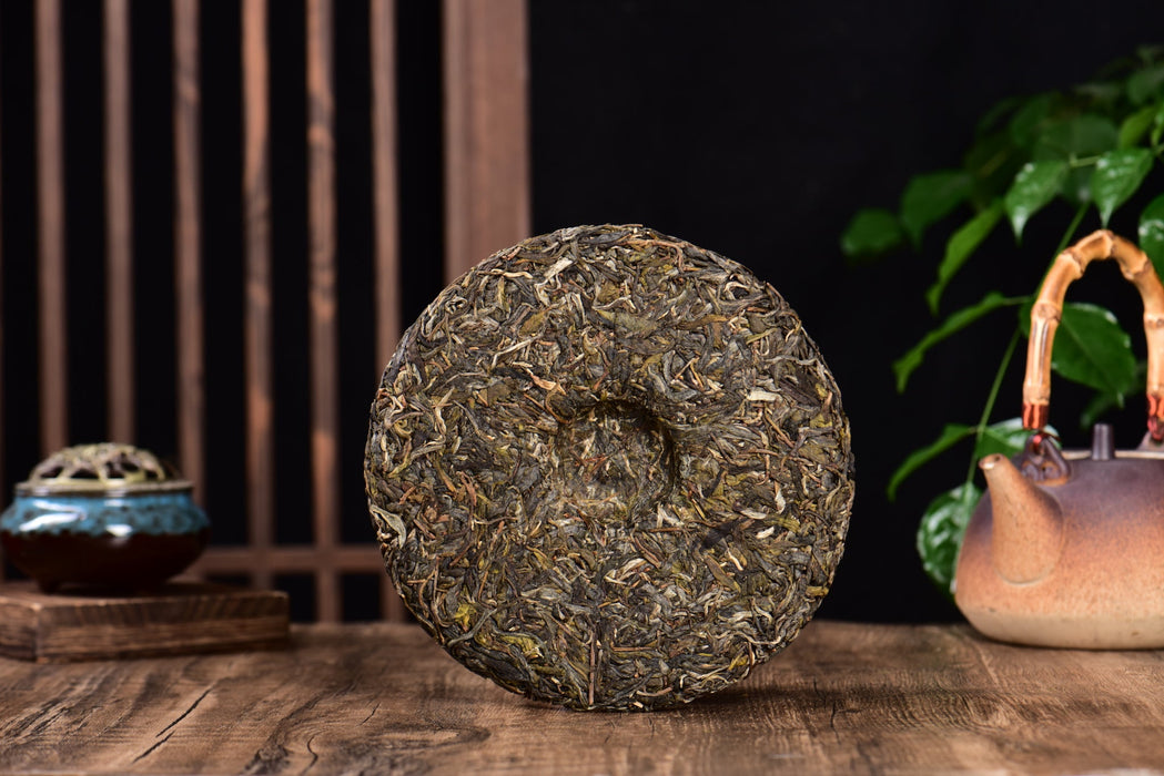 2024 Yunnan Sourcing "Jiu Tai Po" Old Arbor Raw Pu-erh Tea Cake | Yunnan Sourcing Tea Shop