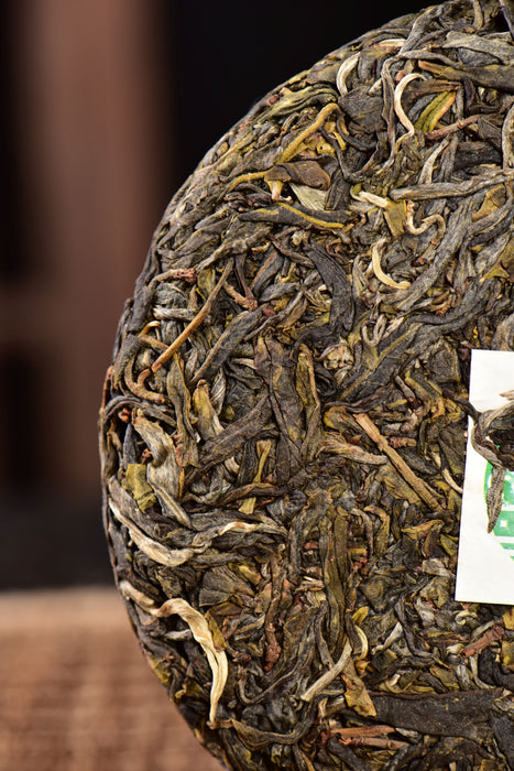 2024 Yunnan Sourcing "Dragon of Mang Fei" Old Arbor Raw Pu-erh Tea Cake