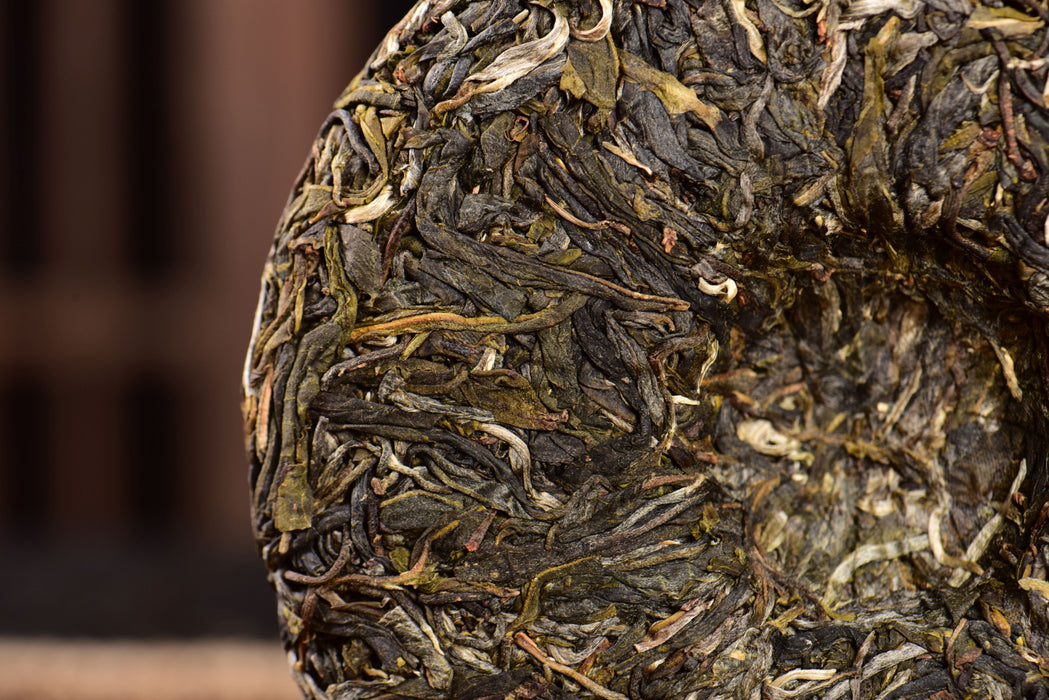 2024 Yunnan Sourcing "Dragon of Mang Fei" Old Arbor Raw Pu-erh Tea Cake