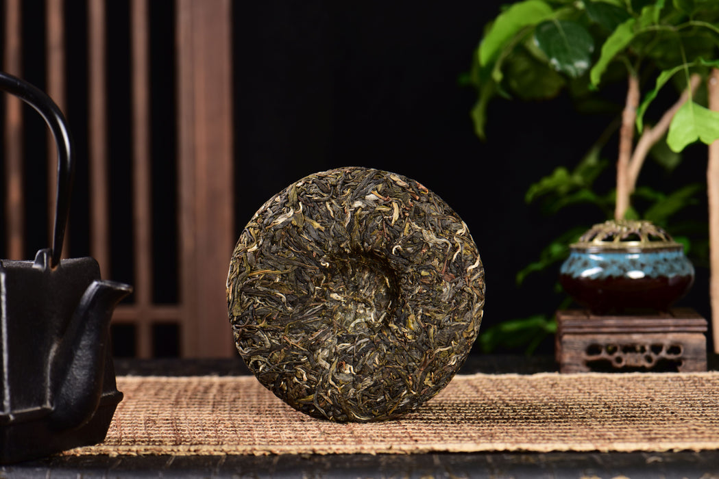 2024 Yunnan Sourcing "Dragon of Mang Fei" Old Arbor Raw Pu-erh Tea Cake