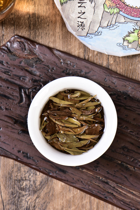 2024 Yunnan Sourcing "Mengku Gu Shu Bai Cha" White Tea Cake