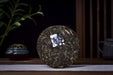 2026 Yunnan Sourcing "The Source" Raw Pu-erh Tea Cake | Yunnan Sourcing Tea Shop